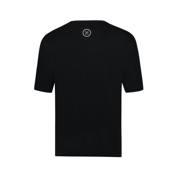  Áo T-shirt Li-Ning Nam AHSV015-1V 