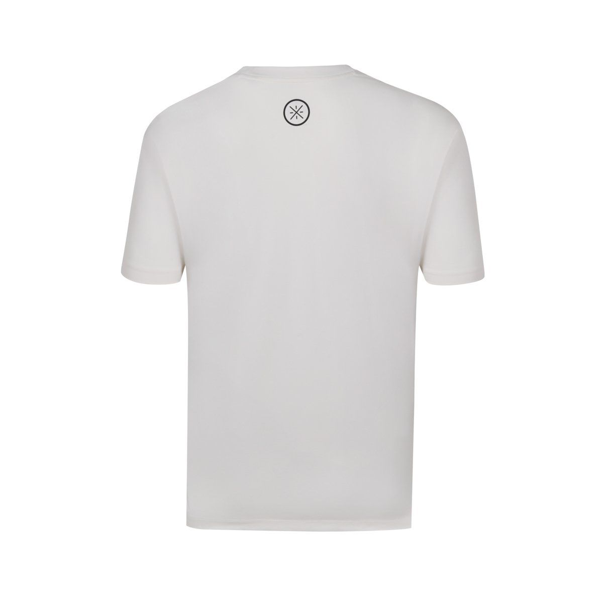  Áo T-shirt Li-Ning Nam AHSV015-5V 