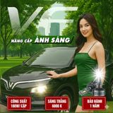 2 cái bóng đèn LED pha/cos chuyên dụng choVF5/VF5 Plus Plug H7, công suất 90W/bóng，Trắng 6000K.