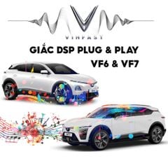 Dây Giắc DSP VinFast VF6 và VF7 độ Loa Plug N Play ampli nối màn hình nguyên bản theo xe ô tô