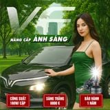 2 cái bóng đèn LED pha/cos chuyên dụng choVF5/VF5 Plus Plug H7, công suất 90W/bóng，Trắng 6000K.