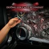 Dưỡng Loa Cánh ô tô Vinfast VF6,VF7,VF8,VF9 Và LUX A.LUX SA - Giắc Cắm Zin - Chân Ốc Zin - An Toàn Và Thẩm Mỹ