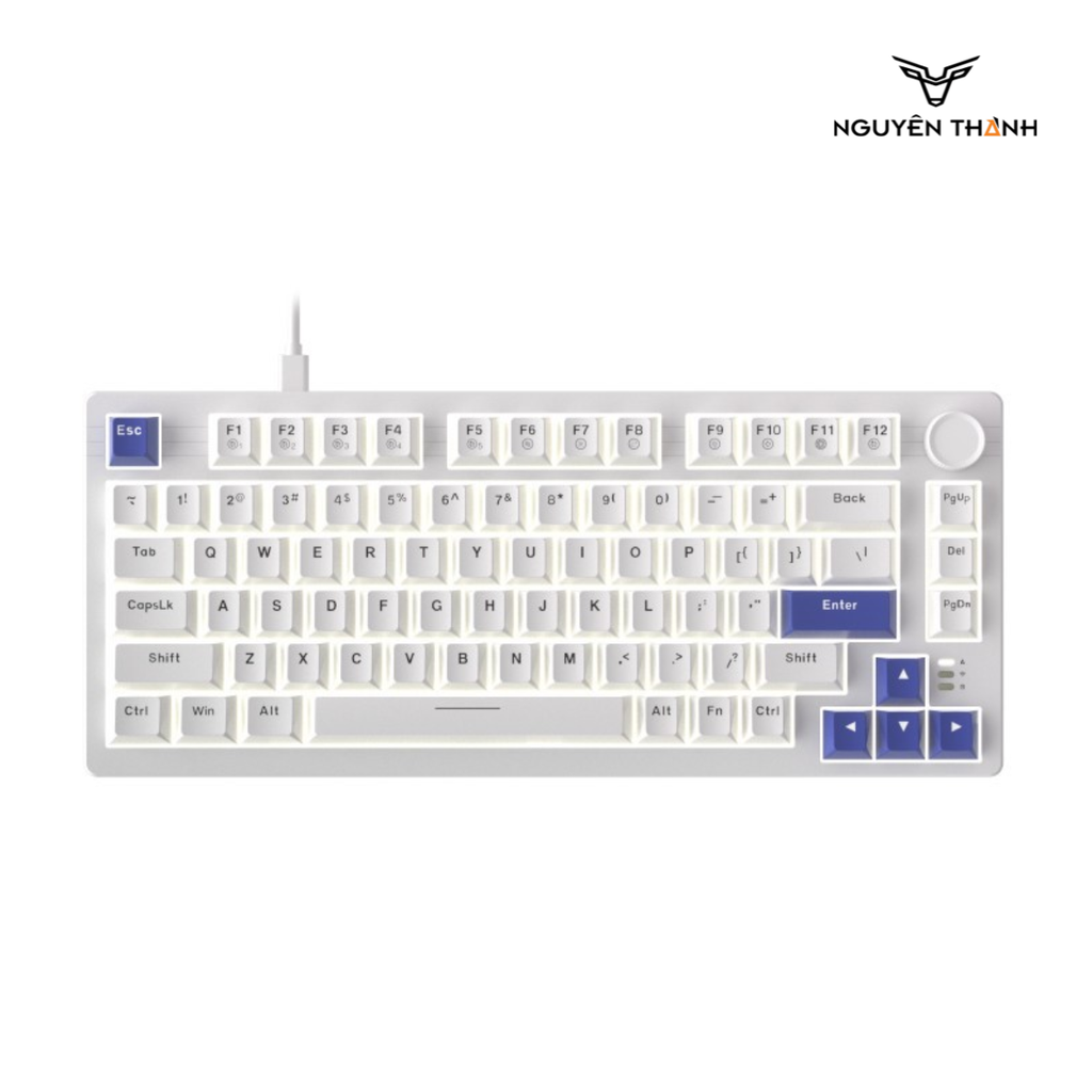 Bàn phím cơ DareU EK75 Full White (Firefly switch)