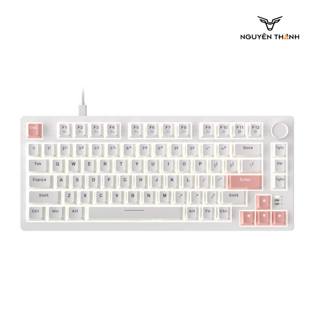 Bàn phím cơ DareU EK75 Full White (Firefly switch)