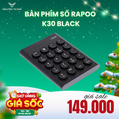 BÀN PHÍM SỐ RAPOO K30 BLACK