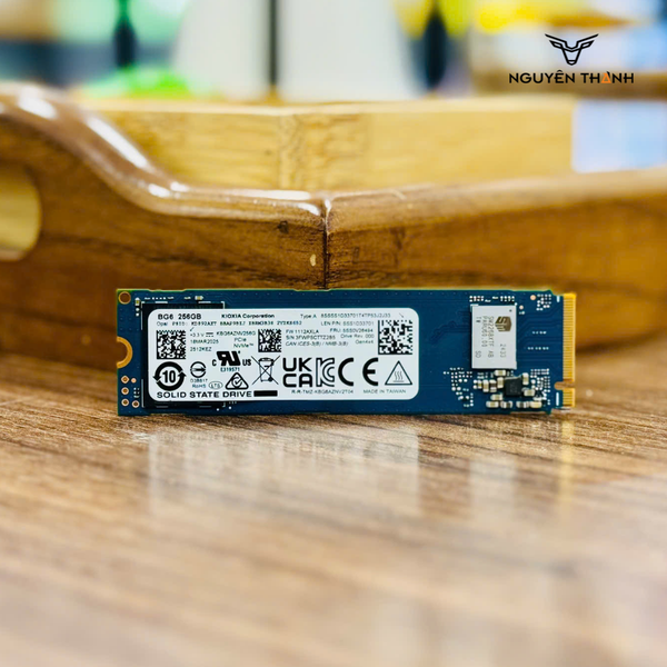 Ổ cứng SSD KIOXIA 256GB M.2 NVMe 2280 Gen 4x4 (KBG6AZNV256G)