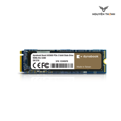 Ổ cứng SSD Dynabook AX5300 256GB M.2 NVMe PCIe Gen 3x4