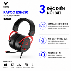 Tai nghe Rapoo ESH650 Black_ 13022