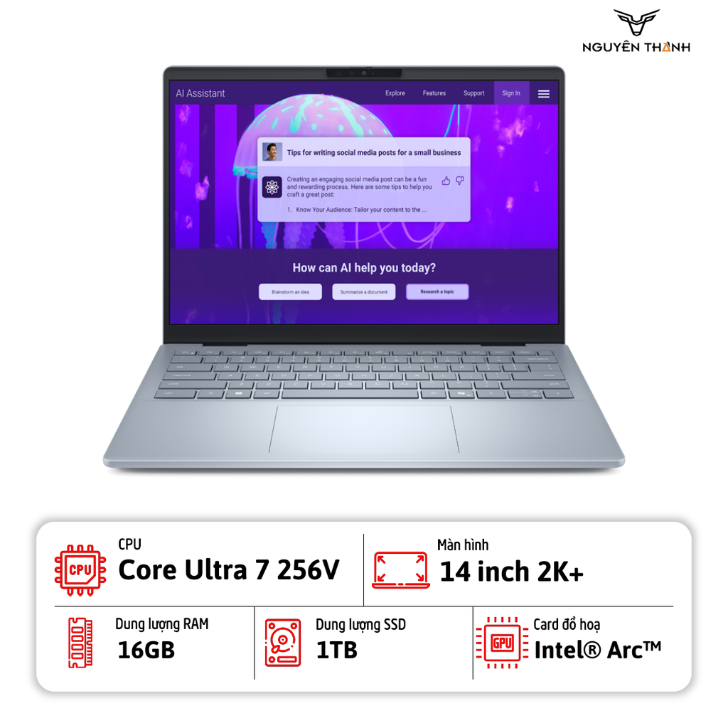 Laptop Dell 14 Plus DB14250 (Core Ultra 7 256V, 16GB, 1TB, Intel Arc Graphics, 14 inch 2K+, Ice Blue)