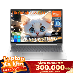 Laptop HP EliteBook 665 G11 ( AMD Ryzen 7 7735U, 16GB RAM, 1TB SSD, 16