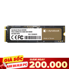 Ổ cứng SSD Dynabook AX5300 256GB M.2 NVMe PCIe Gen 3x4