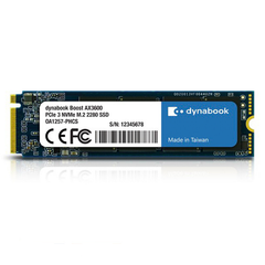 Ổ cứng SSD Dynabook AX3600 256GB M.2 NVMe PCIe Gen 3x4