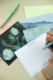  Postcast - Thiệp trao lời thương 