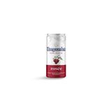  Hoegaarden Rose 