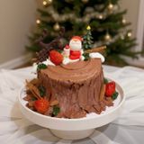 Gốc cây socola nâu