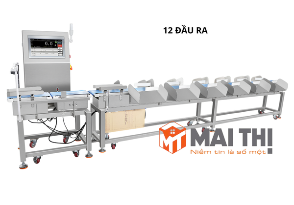 Máy cân kiểm tra và phân loại trọng lượng đa cấp