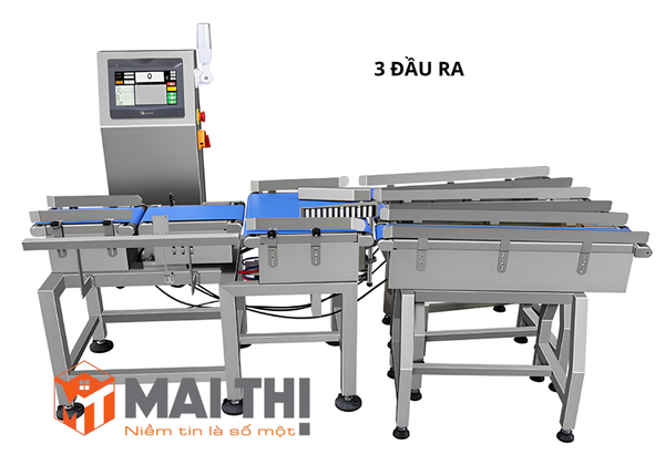 Máy cân kiểm tra và phân loại trọng lượng đa cấp