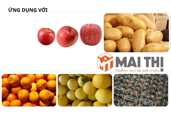 Máy cân kiểm tra và phân loại trọng lượng đa cấp