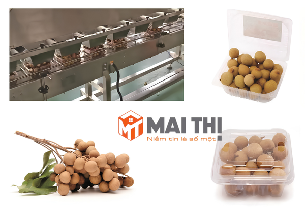 Hệ thống cân và chiết rót nhãn lồng tự động