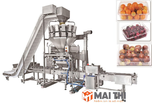 Hệ thống đóng gói trái cây cỡ nhỏ tự động