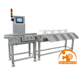 Máy kiểm tra trọng lượng thực phẩm băng tải Chaoqiang CQ-FX300