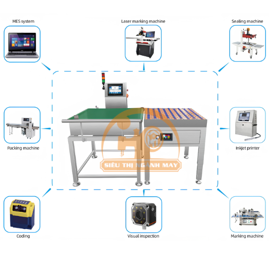 Máy phân loại trọng lượng thực phẩm dạng bánh xe cân Chaoqiang Balance Wheel Sorter