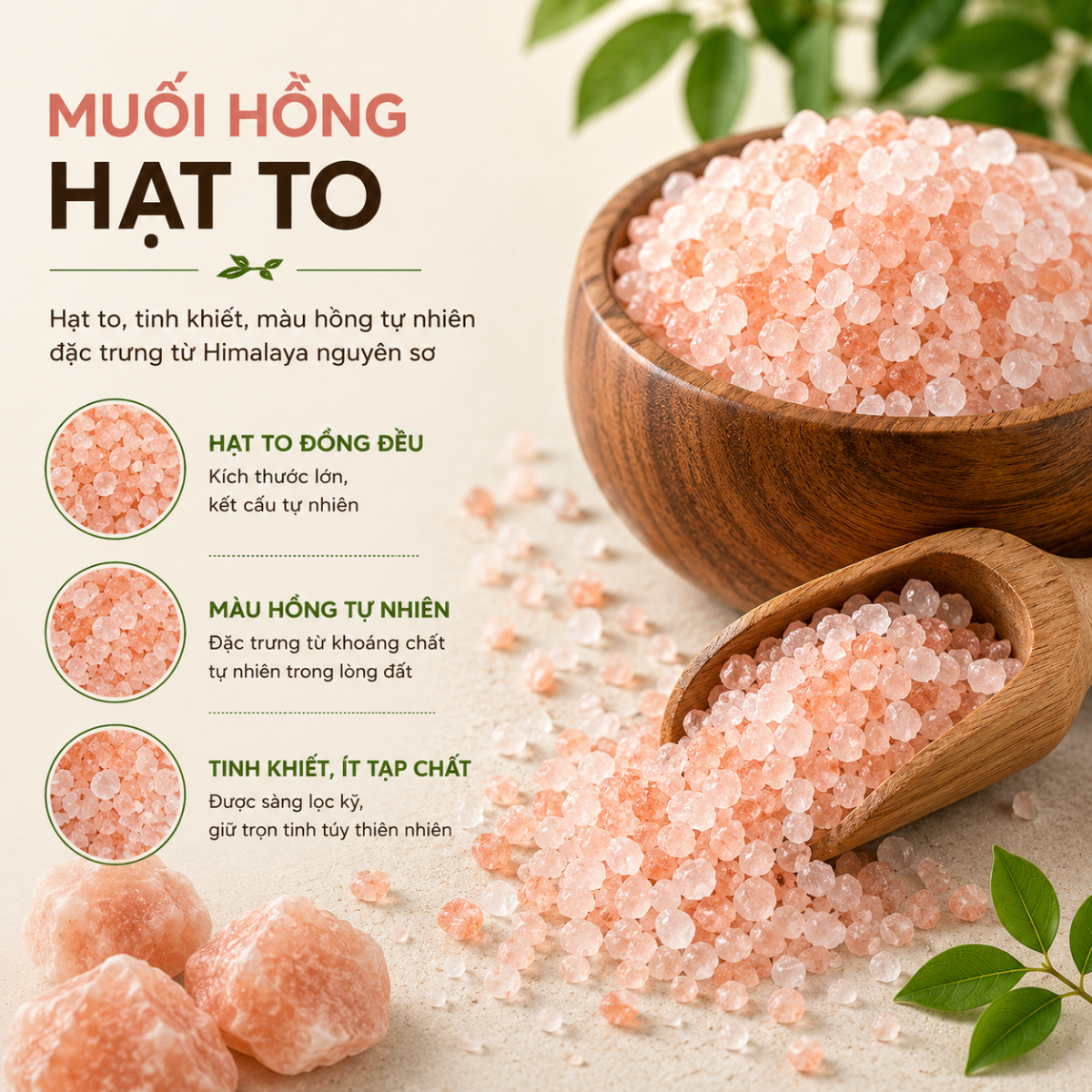  Muối Hồng Himalaya Hạt To Realfood 