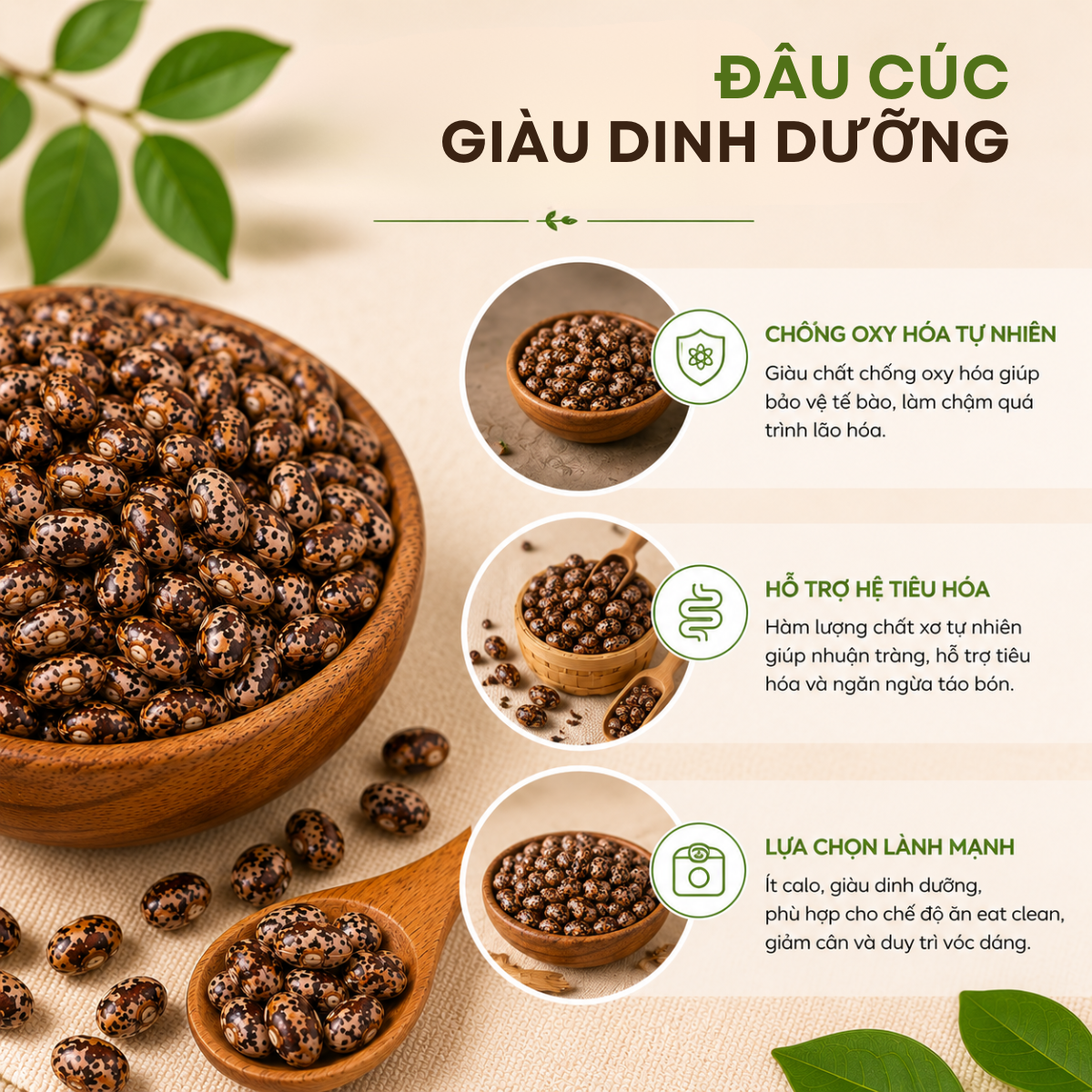  Đậu Cúc RealFoodStore 