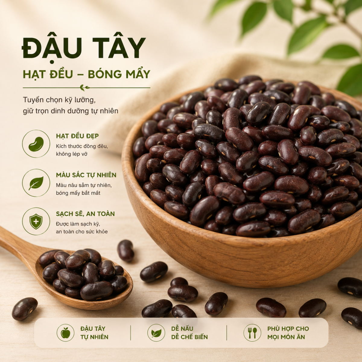  Hạt Đậu Tây RealFoodStore 