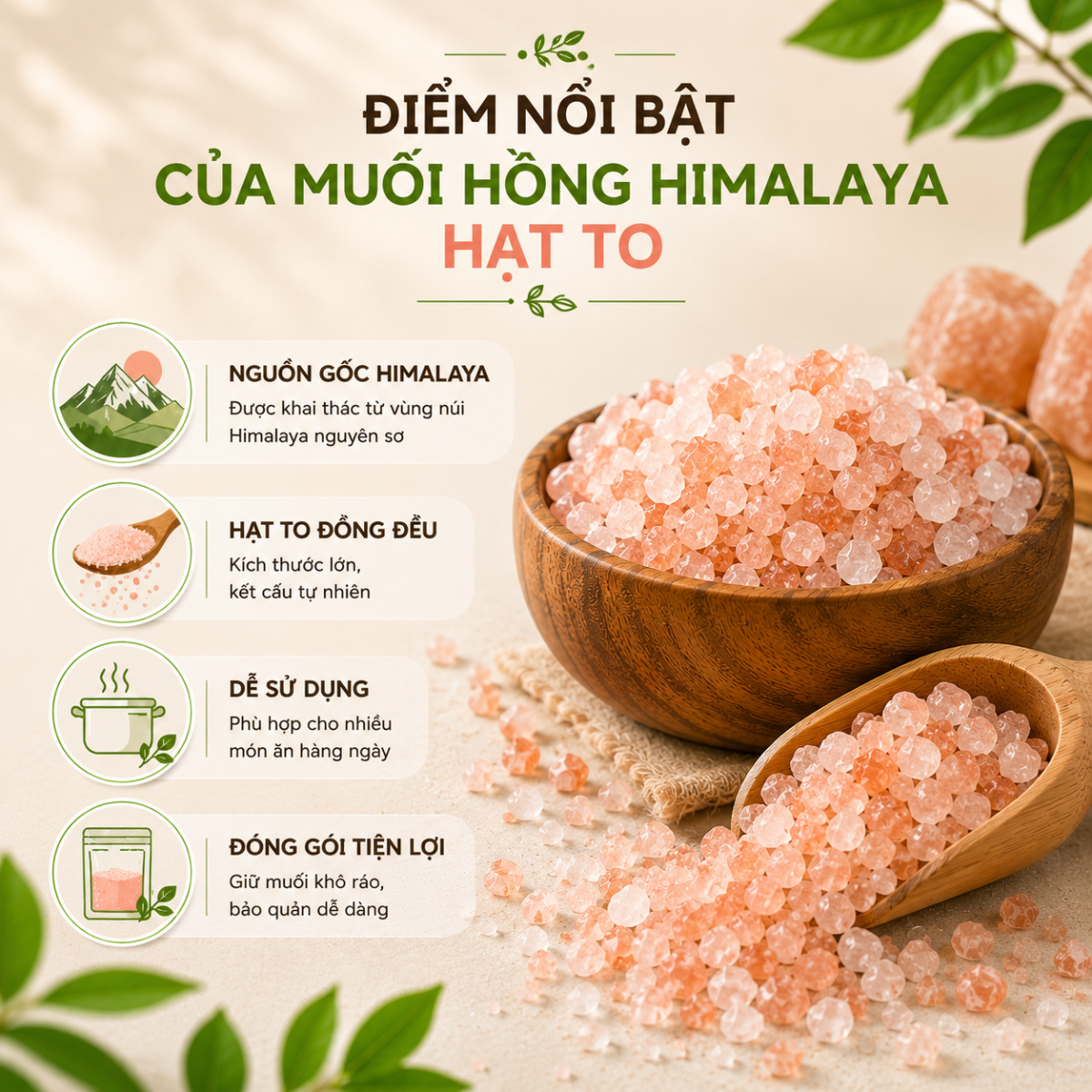  Muối Hồng Himalaya Hạt To Realfood 