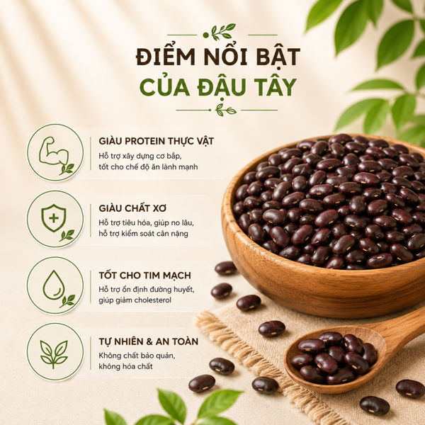  Hạt Đậu Tây RealFoodStore 
