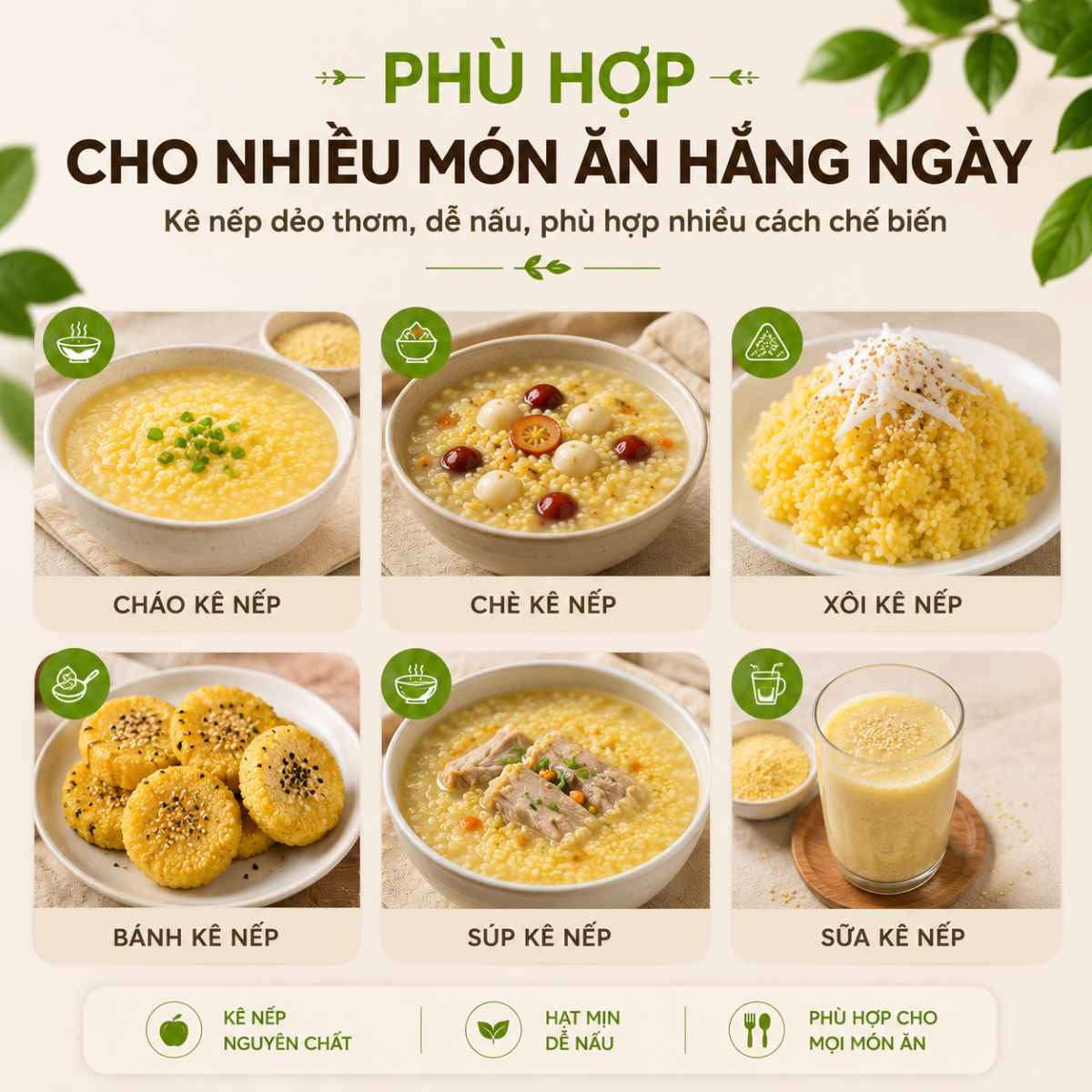  Hạt Kê Nếp RealFoodStore 
