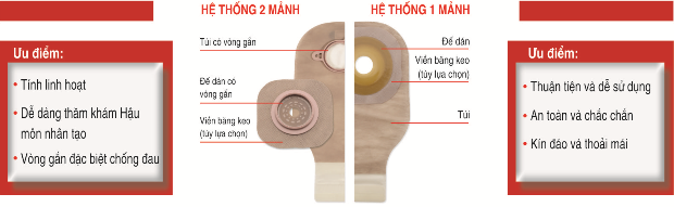 Hệ thống sản phẩm chăm sóc HMNT HOLLISTER