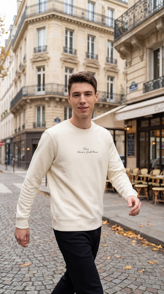 Áo nỉ nam Sweater Tezo - 25ANOT003