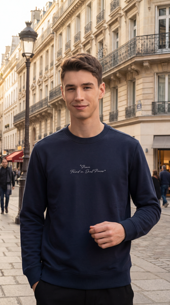 Áo nỉ nam Sweater Tezo - 25ANOT003