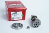  Cam BRT Future 125 / FU LED 125 / MSX 125 