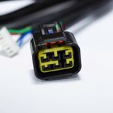  Cáp kết nối Remote vàng với ECU BRT 