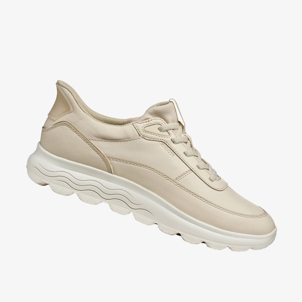  Giày Sneakers Nữ Spherica Plus 