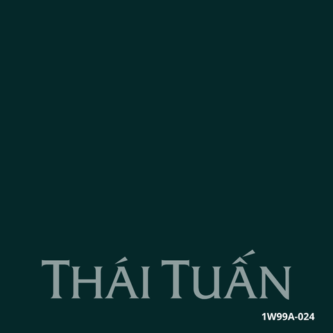 Bộ Áo Dài May Sẵn Cao Cấp Phối Ngọc Màu Xanh Lá Đậm 1W99A024