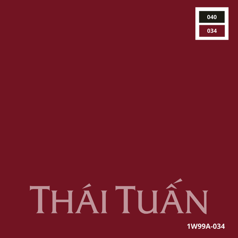 Bộ Áo Dài May Sẵn Cao Cấp Phối Ngọc 1W99A