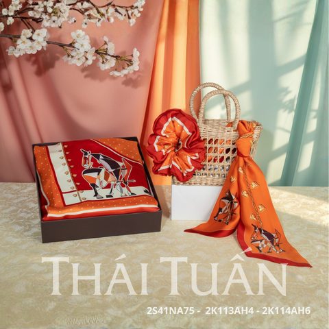 Combo Khăn Choàng Cao Cấp Thái Tuấn 2S41NA75