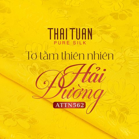 ATTN56202B Vải Tơ Tằm Hải Đường Màu Vàng Khổ 1m15 x Dài 2m5