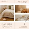  Mẫu Canva 31 