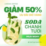  Mẫu Canva 42 