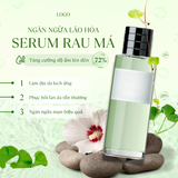  Mẫu Canva 08 