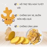  Combo 6 Hũ Gừng Non Sấy Dẻo Mềm – Cay Nhẹ, Chuẩn Vị Gừng Tươi – 123 FARM – 750G 