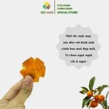  Mứt tắc mật ong 123 FARM 270g - giàu vitamin C, chua ngọt thanh mát, tốt cho cổ họng 