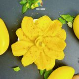 Xoài Lắc Muối Ớt Sấy Dẻo – Ăn Vặt Healthy – Không Xơ – 123 FARM – Túi 270g/ 500g 