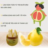  [Mua 5 Tặng 1] Vỏ bưởi sấy dẻo vị chanh muối 123 FARM – tốt cho tiêu hóa (6 gói 50g + kèm quà tặng) 