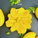  Combo siêu ăn vặt trái cây sấy dẻo 123 FARM – nhiều vị tự nhiên, không ngán – Gói 500g kèm quà tặng 